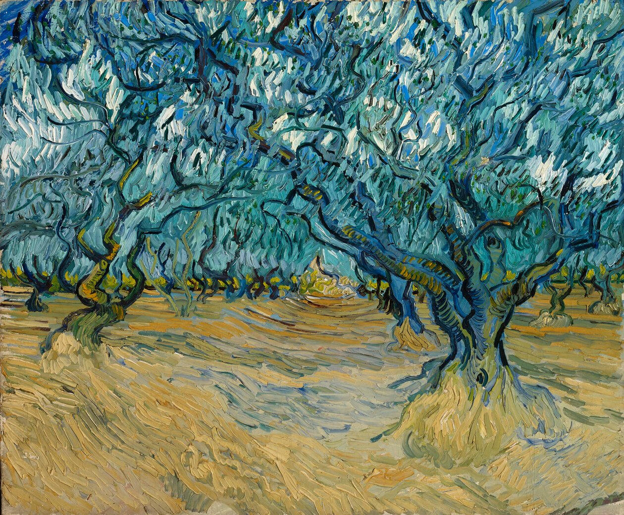 Vincent V an Gogh - The Olive Grove